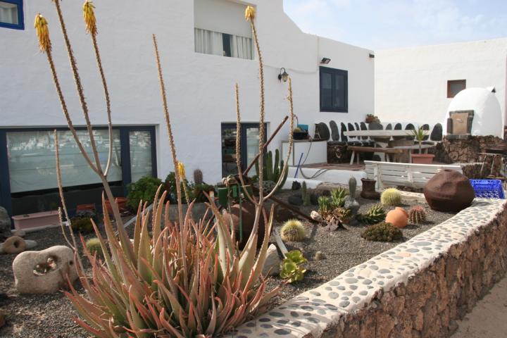 130804-B02 ein Kakteengarten sch&ouml;n gestaltet