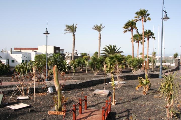 130810-A02 angelegtes Beet