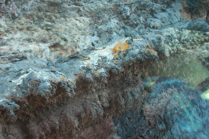 130810-E03 das erste Geflecht hat sich angesiedelt