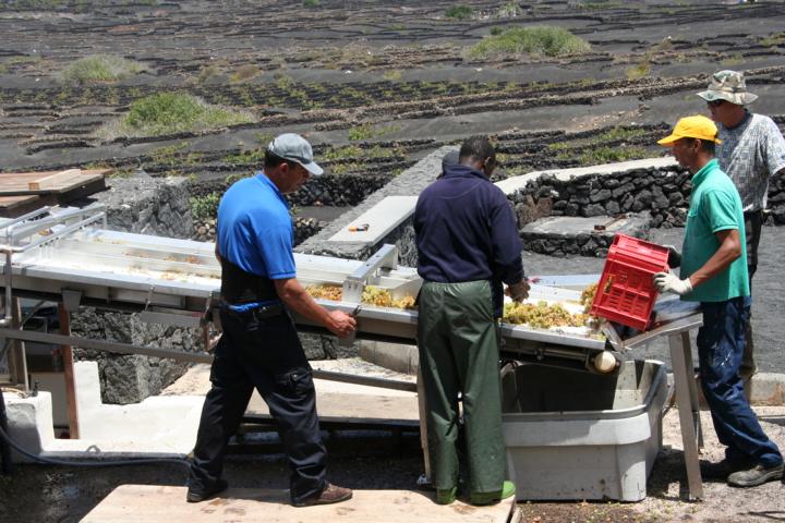 130810_I06 und kommen in den Keller