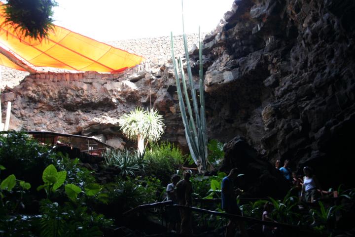 130810-L03 &uuml;berall Pflanzen