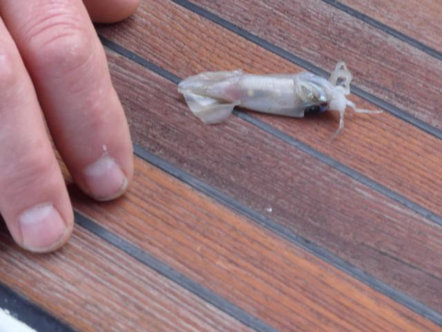 140107 A01 was ist da an Bord gekommen