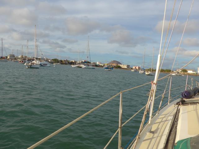 140110-A01 das Ankerfeld