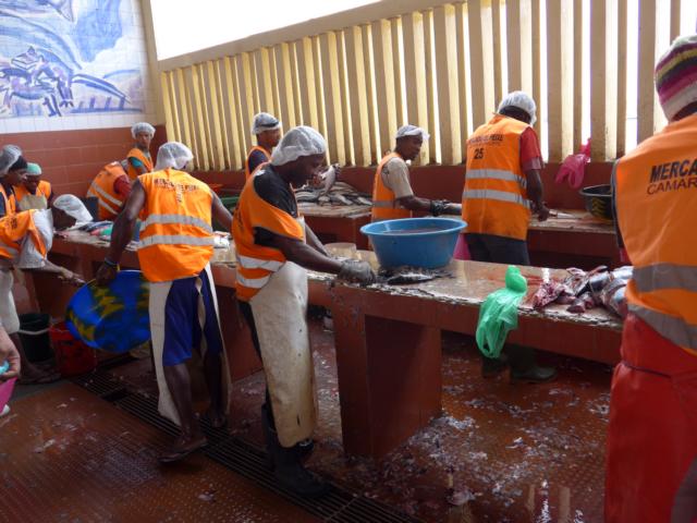 140225-A07 hier wird der Fisch ausgenommen