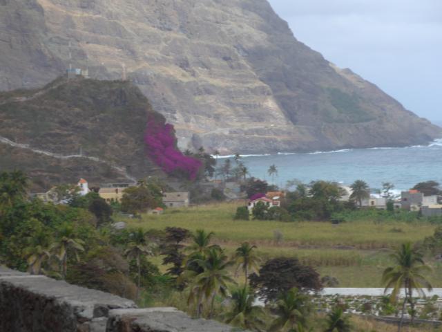 140226-C07 nur in den Taleinschnitten ist es fruchtbar