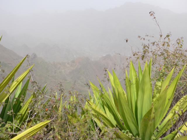 140228-B08 Leider zogen die Wolken tief