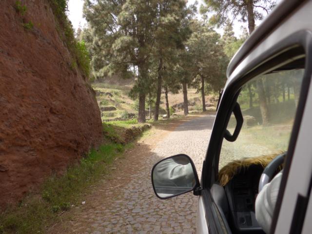 140228-C09 &Uuml;ber die Bergstrasse