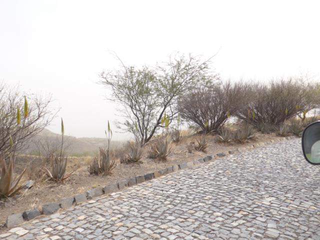 140228-E04 Die Pflasterstassen hatten noch Sklaven gebaut