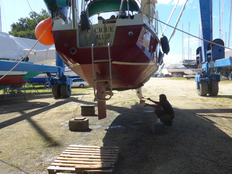 141212-A01 endlich wieder ins Wasser