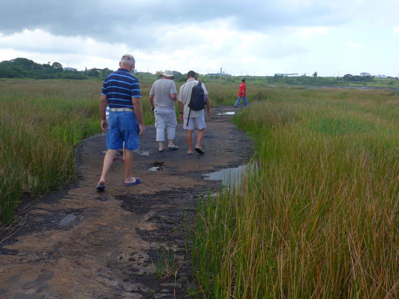 141219-C03 der Untergrund wird weicher