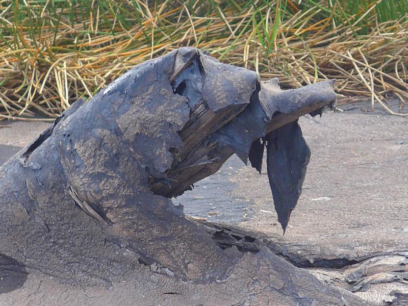 141219-C09 aufgerissener Asphalt