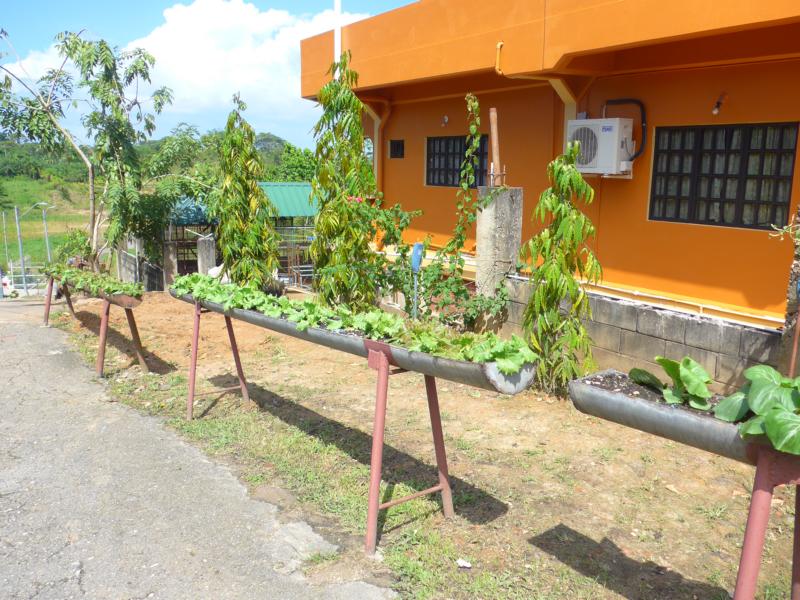 141219-E06 Spinat- u Salatbeet