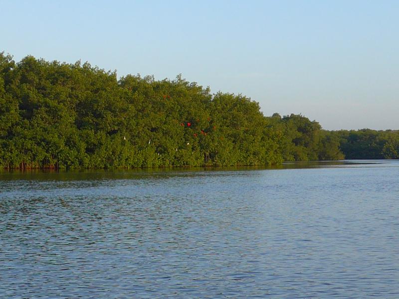 141219-H03 eine Kononi Ibize 