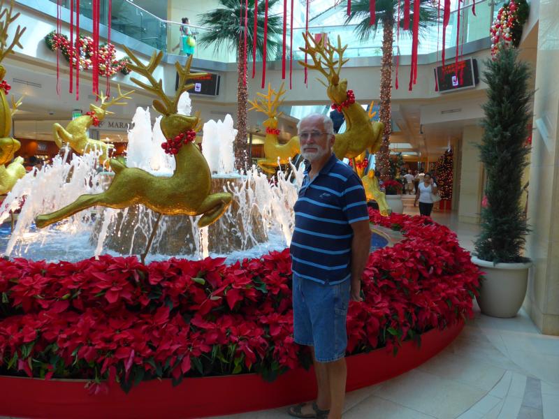 141223-A01 im weihnachtlichen Westmal