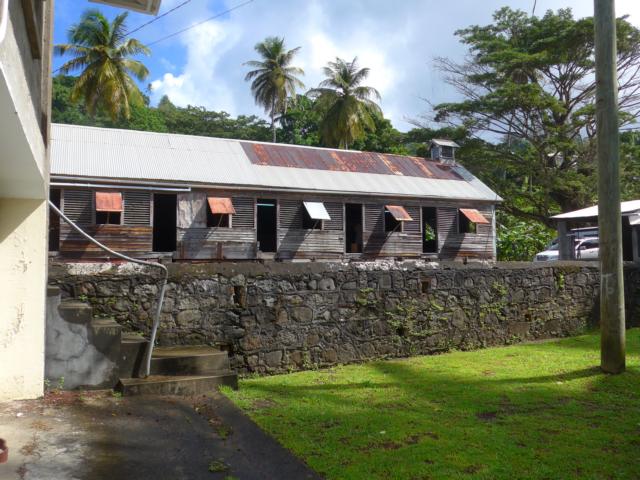 150106 die alte Plantage