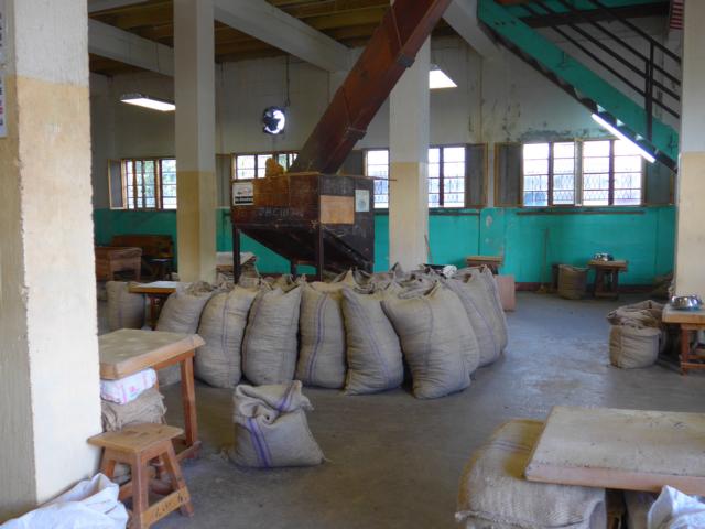 150106-E07 die Muskatnuss Verarbeitung