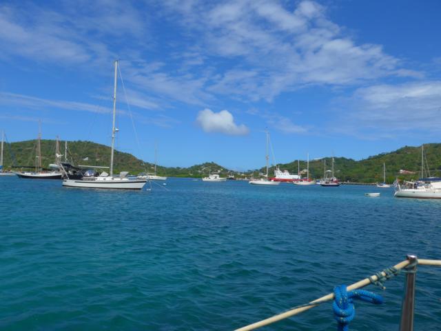 150113-A01 in der Tyrellbay