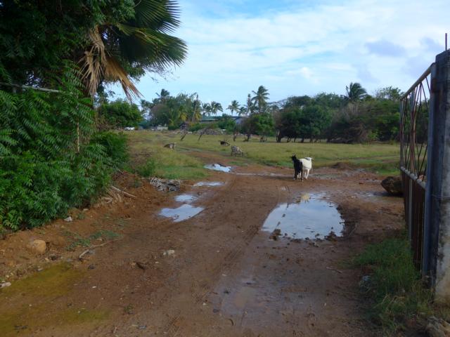 150114-B01 laendliche Idylle