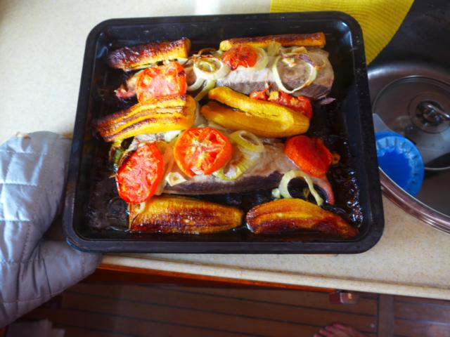 150116-B02 und mittags ist Tunfisch angesagt