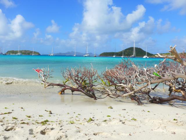 150117-A01 TABAGO Cays auf der Sandbank