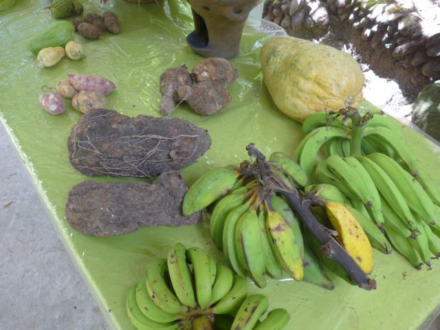 150124-D08 Fruechte und Wurzeln von der Insel