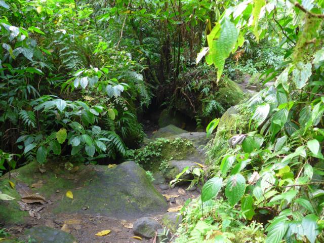 150206-C01 ein abenteuerlicher Weg dorthin