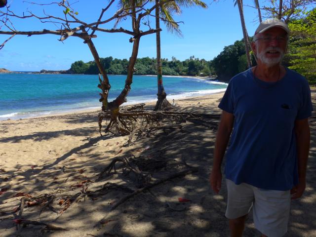 150209-A06 ein herrlicher Strand die Woodfort Bay