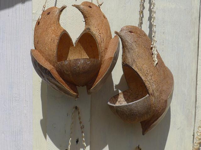 150209-B05 aus einer Kokosnuss gefertigte Vogeltraenke