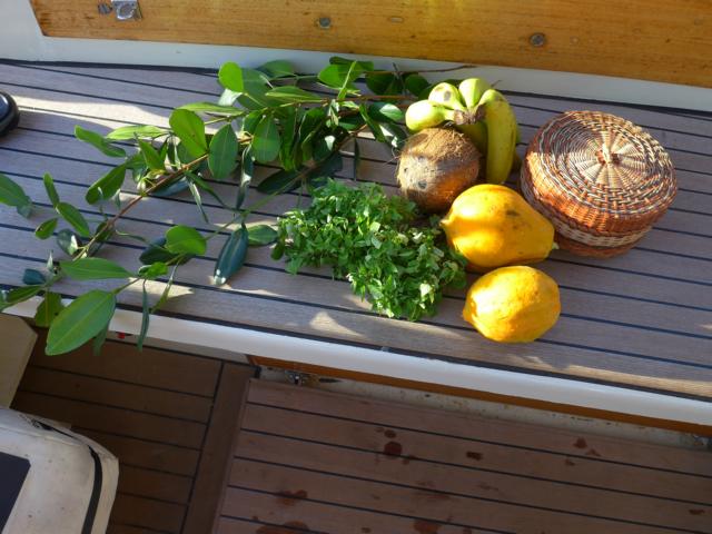 150209-D02 unsere Mitbringsel von heute