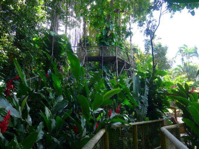 150214-A08 schoen angelegte Wege