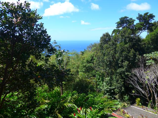 150214-B01 ein Blick in die Kaeibik