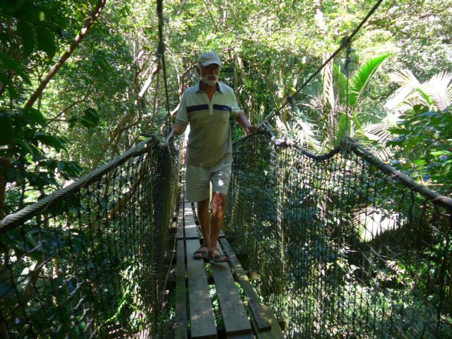 150214-B05 es geht ueber Haengebruecken hoch in den Baumen