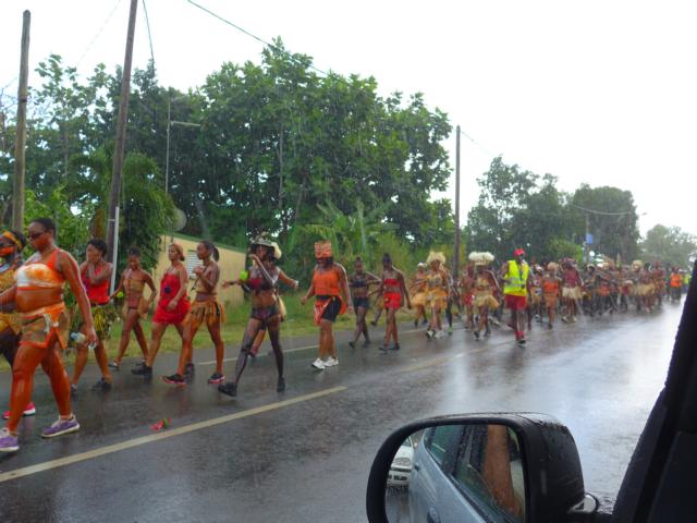 150214-C08 Karnevalumzug im Regen