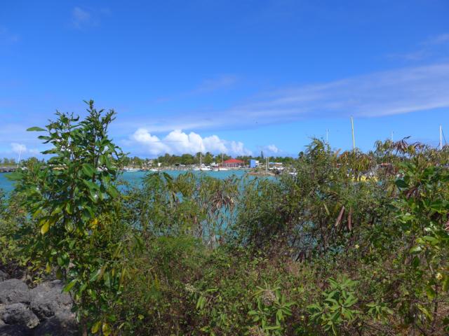 150218-B04 die Marina nicht fuer Gaeste