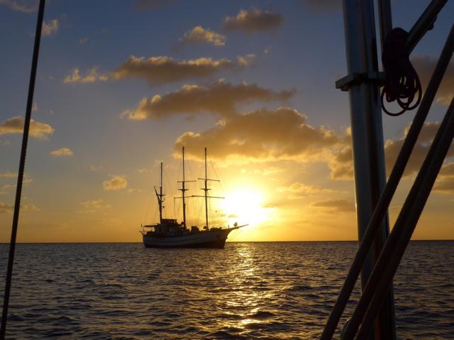 150304-A04 in der Abendstimmung