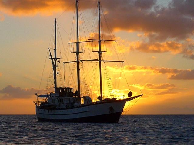 150304-B01 wie ein Gemaelde