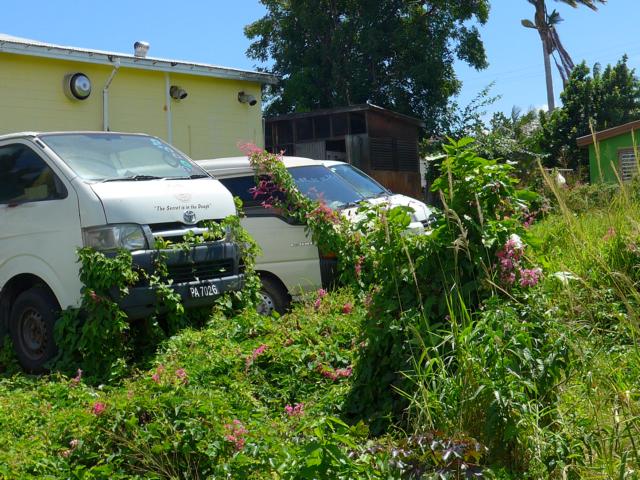 150305-B07 nicht zu lange stehen lassen