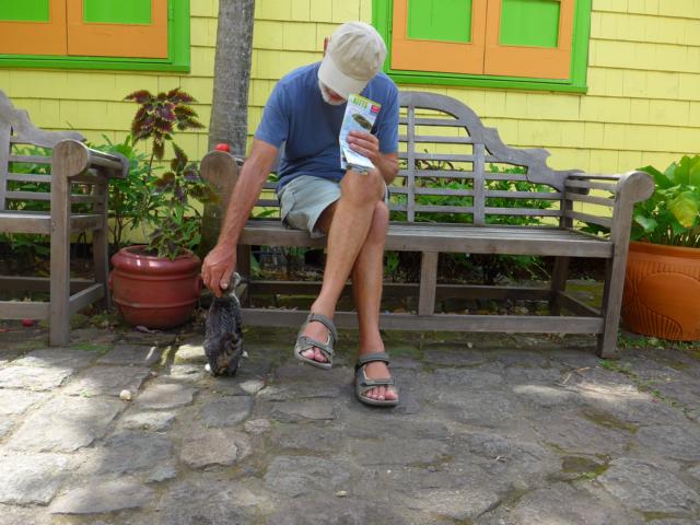 150309-A06 eine kleine Kuschelpause