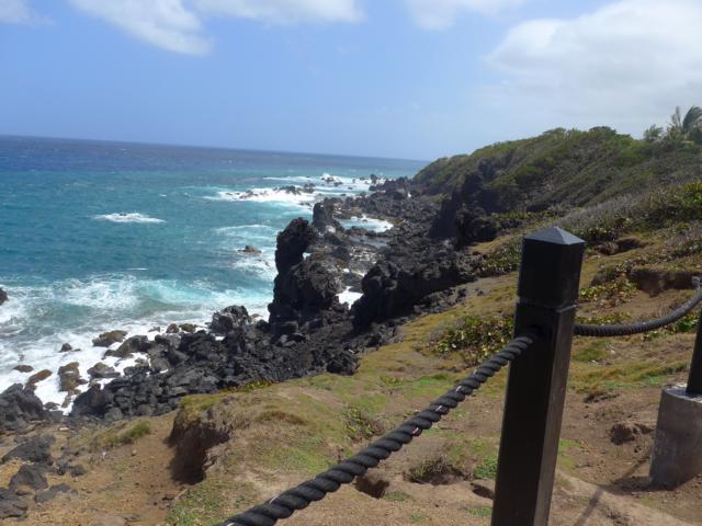 150309-C04 die Atlantikkueste mit den black Rocks