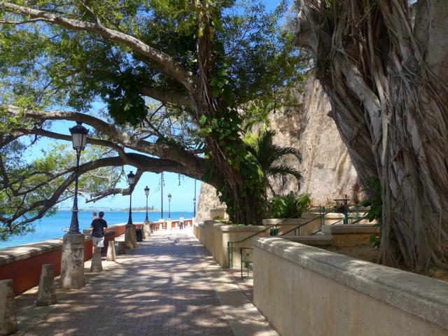 150329-A02 m&auml;chtige B&auml;ume