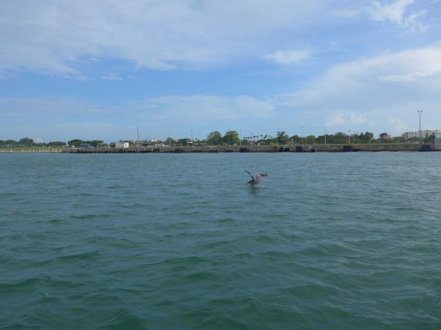 150413-A07 Einfahrt in den Port Canaveral