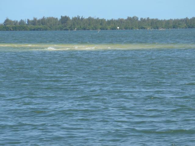 160425-F-A04 immer wieder Flachs