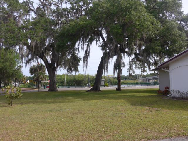 160430-A01 herrliche B&auml;ume